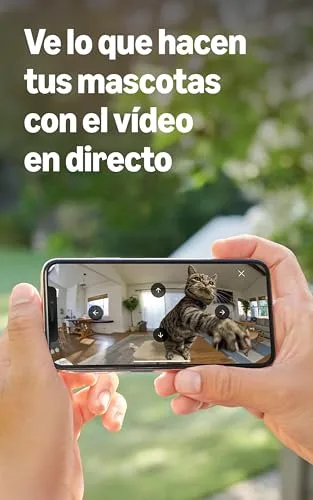 Ring ▫️ Câmara interior orientável (Pan-Tilt Indoor Camera) | Câmara de segurança com ligação à tomada, ideal para animais de estimação, orientável 360° na horizontal e 169° na vertical | Protect gratuito durante 30 dias 5