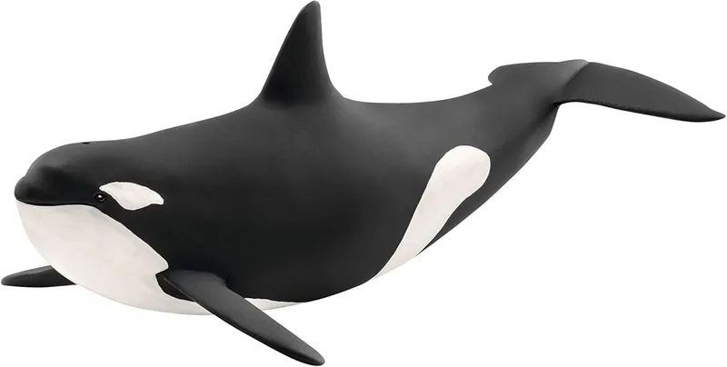 Schleich ▫️ Wild Life | Orca 14807 | Figura marinha realista | Brinquedo educativo sobre o oceano e o jardim zoológico | Presente para meninos e meninas | Decoração de aniversário | A partir dos 3 anos | 10 x 20 x 7 cm