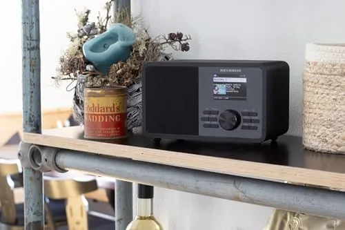 Kathrein ▫️ Dab+ Link M11 – Dab+ / Rádio pela Internet, Mono – Preto 4