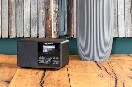Kathrein ▫️ Dab+ Link M11 – Dab+ / Rádio pela Internet, Mono – Preto 6