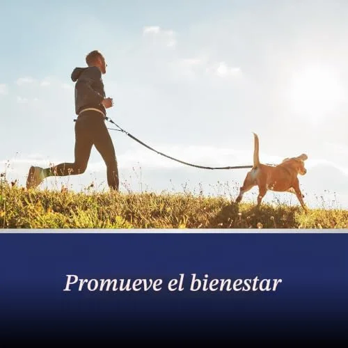 Canosept ▫️ comprimidos para as articulações dos cães - Condroprotetor para cães - fórmula exclusiva: com mexilhão de lábio verde, glucosamina e ómega 3 - proteção das articulações - 20 comprimidos 5