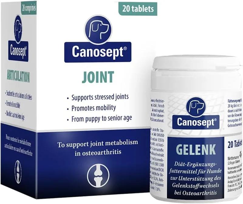 Canosept ▫️ comprimidos para as articulações dos cães - Condroprotetor para cães - fórmula exclusiva: com mexilhão de lábio verde, glucosamina e ómega 3 - proteção das articulações - 20 comprimidos