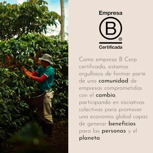 illy ▫️ Café em Grão Moído CLASSICO, 1 lata de 500 g 5