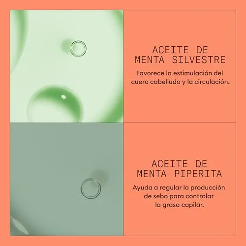 NIOXIN ▫️ Sistema 4 - Champô / Condicionador / Tratamento - Para cabelos pintados e danificados com enfraquecimento avançado 5
