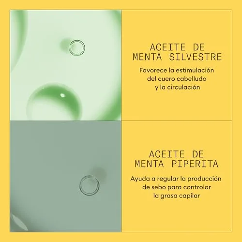 NIOXIN ▫️ Sistema 1 - Champô / Condicionador / Tratamento - para o cabelo e o couro cabeludo - Cabelo natural com enfraquecimento ligeiro 5