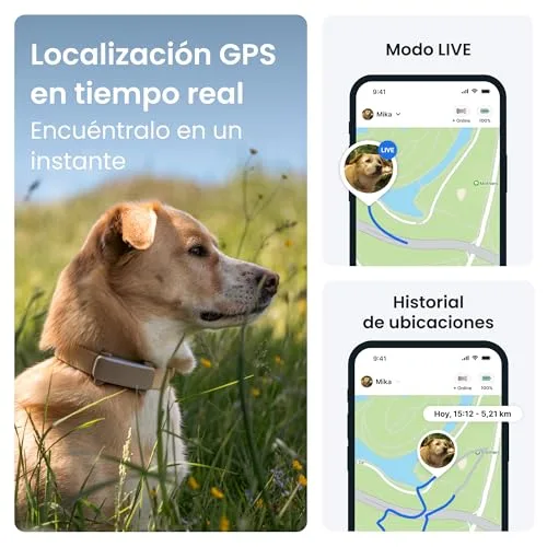 Tractive ▫️ GPS para cães | Edição 2025 | N.º 1 do mercado | Localização em tempo real | Alertas contra fugas | Monitorização da atividade | Alertas de saúde | Monitorização de latidos (Castanho) 2