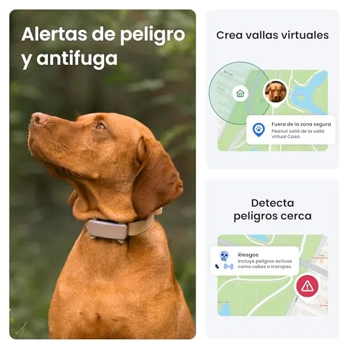 Tractive ▫️ GPS para cães | Edição 2025 | N.º 1 do mercado | Localização em tempo real | Alertas contra fugas | Monitorização da atividade | Alertas de saúde | Monitorização de latidos (Castanho) 4