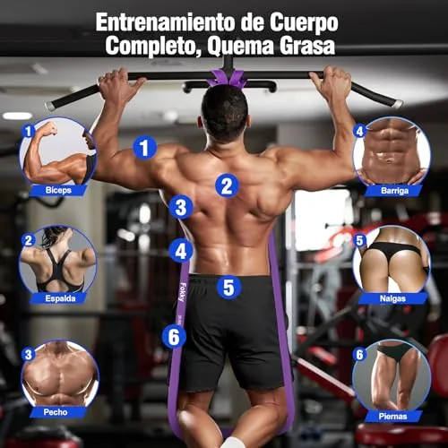 Fokky ▫️ Elásticos de Musculação com 4 Níveis de Resistência, 5-85 LBS 4