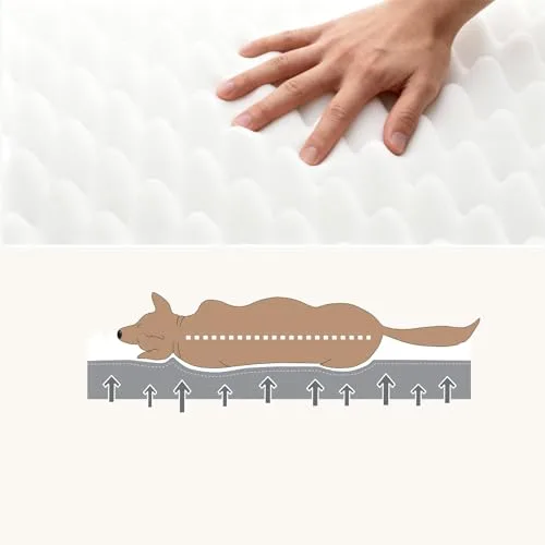 WAVVE ▫️ Cama Ortopédica para Cães Grandes 91 x 69 x 7,6 cm Cinzenta 2