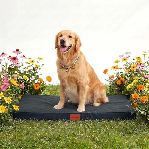 WAVVE ▫️ Cama Ortopédica para Cães Grandes 91 x 69 x 7,6 cm Cinzenta 3