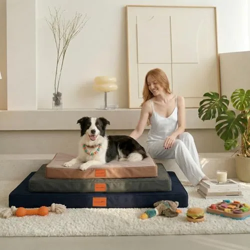 WAVVE ▫️ Cama Ortopédica para Cães Grandes 91 x 69 x 7,6 cm Cinzenta 4