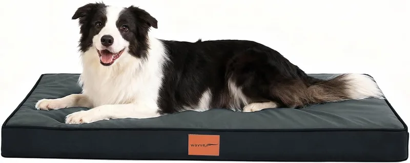 WAVVE ▫️ Cama Ortopédica para Cães Grandes 91 x 69 x 7,6 cm Cinzenta