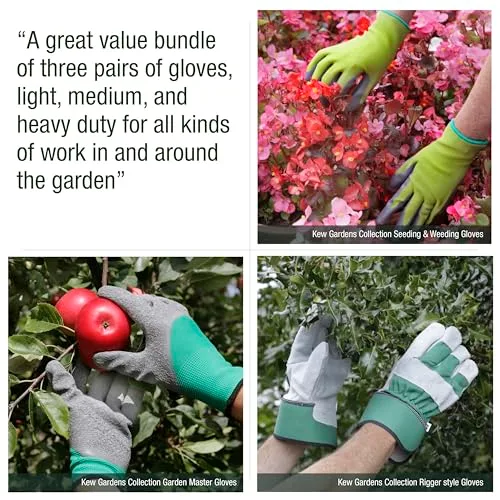 Spear & Jackson ▫️ Coleção Kew Gardens Conjunto de três pares de luvas de jardinagem (3 pares - tamanho médio): para sementeira e remoção de ervas daninhas, Garden Master e estilo rigger 3