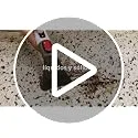 Ufesa ▫️ Eden 600 Aspirador de estofos com água, 600 W, depósito duplo, sucção de líquidos e sólidos, escova multifunções, acessório para limpeza de vidros, ideal para tapetes, sofás, automóveis e vidros 7
