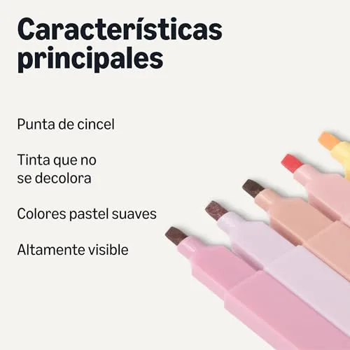 Amazon Basics ▫️ Conjunto de marcadores em tons pastel, tinta que não traspassa o papel, para Bíblias, ponta biselada, embalagem de 10, sortido 2