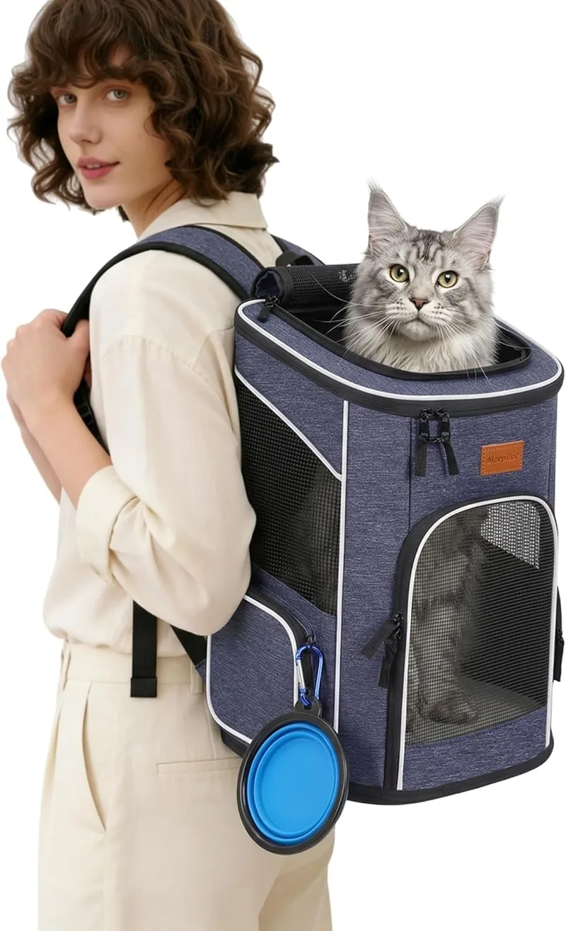 Morpilot ▫️ Mochila para gatos e cães de pequeno porte, 7 kg, dobrável, com correia de segurança interior e estrutura rígida