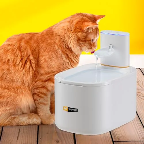 Ferplast ▫️ Beberouro para Gatos e Cães Pequenos Astra, Beberouro sem fios para gatos, Dispensador de água recarregável para gatos, Sensor de movimento, 3 L, Filtro de três fases, USB-C incluído 2