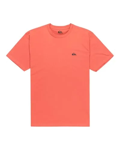 Quiksilver ▫️ Camiseta Basic SS Young para homem 6