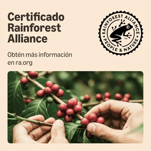 by Amazon ▫️ da Amazon Ristretto Intenso Cápsulas de Café Compatíveis com Nespresso, 100 Cápsulas (5 embalagens de 20) - Certificado pela Rainforest Alliance 5
