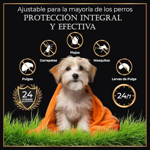 Life Innovation ▫️ Conjunto de 4 coleiras antiparasitárias para cães, 24 meses de proteção contra pulgas, carraças e mosquitos — 100% natural, impermeável, ajustável, para todos os tamanhos. 2