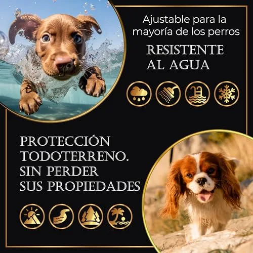 Life Innovation ▫️ Conjunto de 4 coleiras antiparasitárias para cães, 24 meses de proteção contra pulgas, carraças e mosquitos — 100% natural, impermeável, ajustável, para todos os tamanhos. 3
