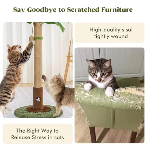 Woochpet ▫️ Poste para gatos com 35 polegadas de altura, com orifício para ratos e corda de sisal, poste para gatos e gatinhos, poste para gatos com brinquedo e bola suspensa para gatos de 6