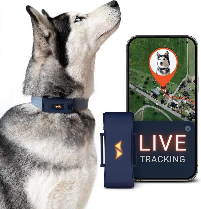 PAJ GPS ▫️ PAJ 4G GPS Dog Tracker - Alarmes de fuga + Seguimento global em tempo real - Até 10 dias de autonomia da bateria - 100% à prova de água (IP67) - Com luzes LED - Adapta-se a qualquer coleira - Azul
