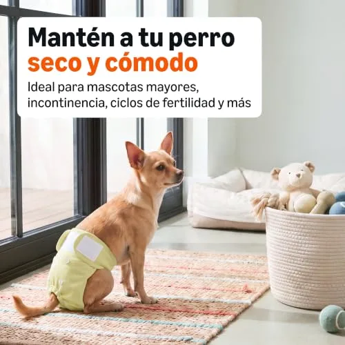 Amazon Basics ▫️ Fraldas laváveis para cadelas, tamanho S, embalagem de 3 unidades 2