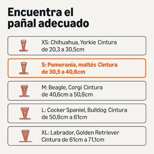 Amazon Basics ▫️ Fraldas laváveis para cadelas, tamanho S, embalagem de 3 unidades 3