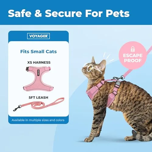 Best Pet Supplies ▫️ Voyager - Conjunto de arnês e trela para gatos à prova de fuga, com costuras refletoras, alça em neoprene de 1,5 m, adequado para gatos pequenos, médios e grandes, bem como para gatinhos 2