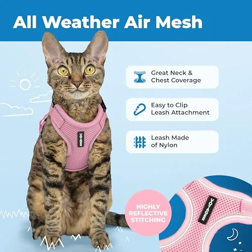 Best Pet Supplies ▫️ Voyager - Conjunto de arnês e trela para gatos à prova de fuga, com costuras refletoras, alça em neoprene de 1,5 m, adequado para gatos pequenos, médios e grandes, bem como para gatinhos 3