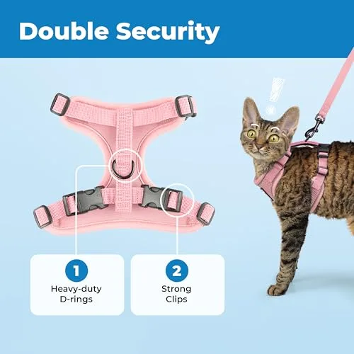 Best Pet Supplies ▫️ Voyager - Conjunto de arnês e trela para gatos à prova de fuga, com costuras refletoras, alça em neoprene de 1,5 m, adequado para gatos pequenos, médios e grandes, bem como para gatinhos 5