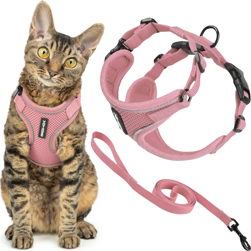 Best Pet Supplies ▫️ Voyager - Conjunto de arnês e trela para gatos à prova de fuga, com costuras refletoras, alça em neoprene de 1,5 m, adequado para gatos pequenos, médios e grandes, bem como para gatinhos