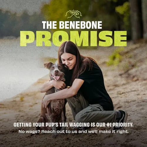 Benebone ▫️ Pawbler - Brinquedo interativo de borracha natural para cães com dispensador de guloseimas e ração, ideal para combater o tédio 7