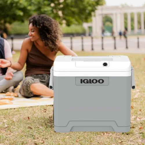 Igloo ▫️ IE42 Frigorífico Elétrico, 12 V e 230 V, 42 L – Mini-frigorífico compacto para carro, campismo, viagens, barco e festivais – com rodas, pega telescópica, compartimento para cabos e modo Eco/MAX 2