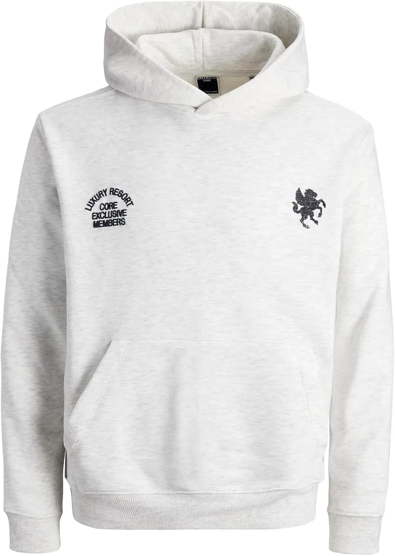 JACK & JONES ▫️ Jcocrest Print Sweat Hood para homem