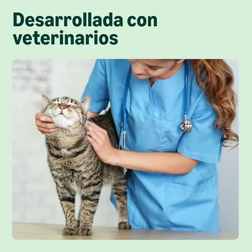 by Amazon ▫️ da Amazon - Ração seca completa para gatos adultos, rica em frango e arroz, 3 kg 3