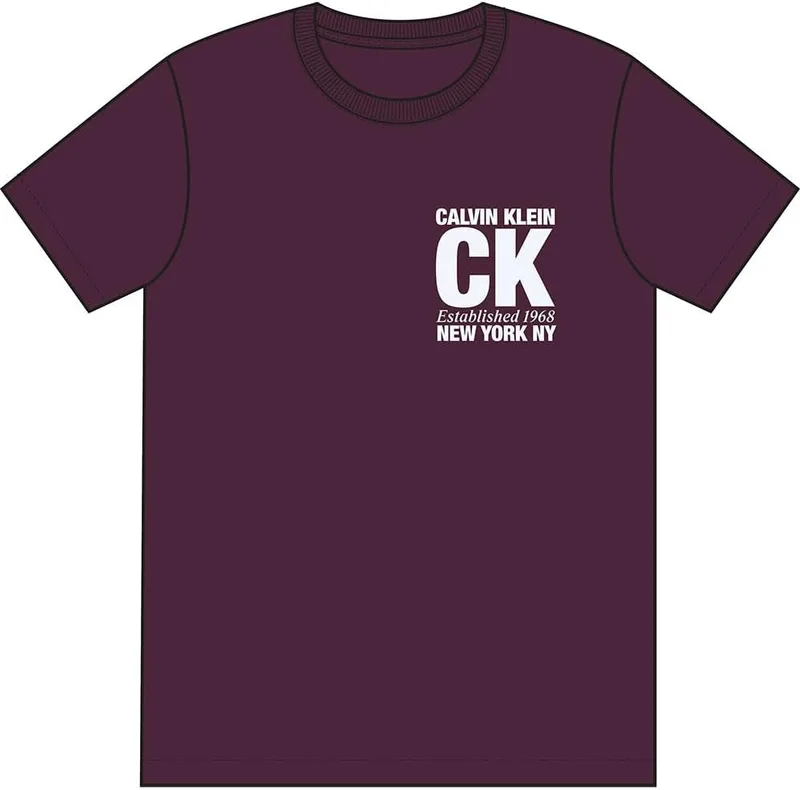 Calvin Klein ▫️ SS 30s Whsl SP CK Corner Graphic Lv04re819g T-Shirts gráficas para homem