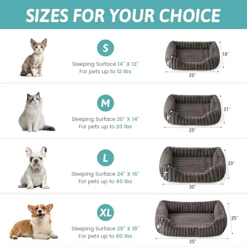 COZY KISS ▫️ Cama ortopédica para cães e gatos, sofá lavável para gatos, L 2