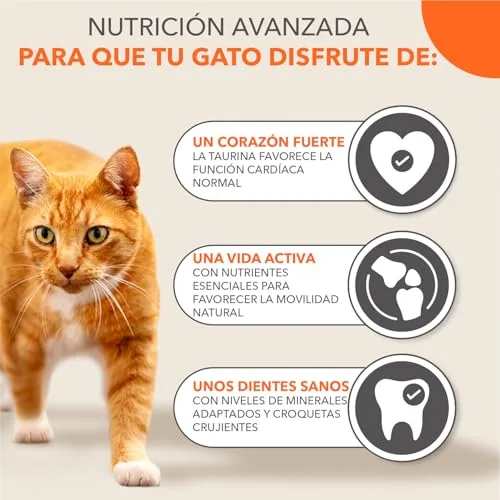 IAMS ▫️ Ração Seca para Gatos Senior com Atum, 10 kg 4