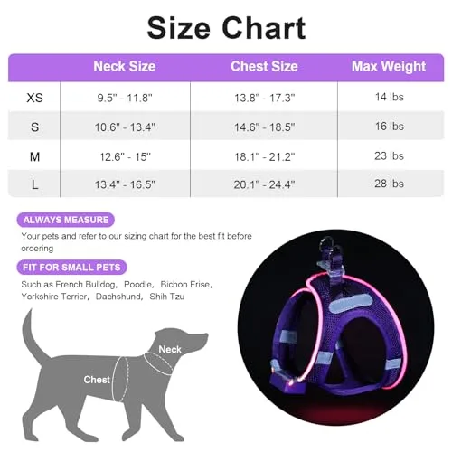 Feycig ▫️ Arnês para cães com luzes LED recarregáveis - Arnês luminoso 2