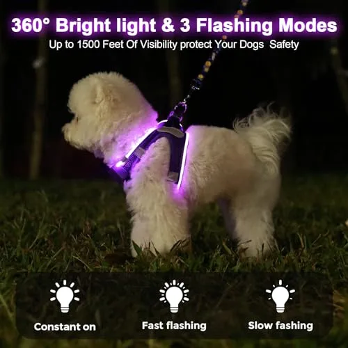 Feycig ▫️ Arnês para cães com luzes LED recarregáveis - Arnês luminoso 4
