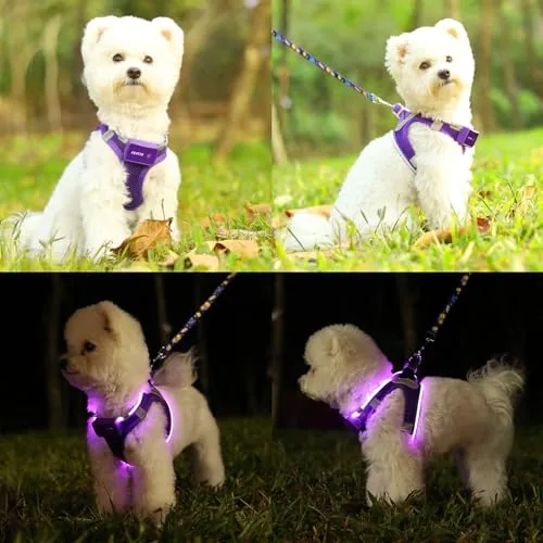 Feycig ▫️ Arnês para cães com luzes LED recarregáveis - Arnês luminoso 6