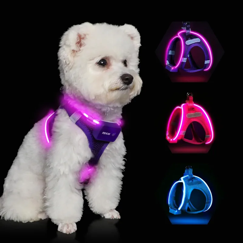 Feycig ▫️ Arnês luminoso recarregável para cães com luz LED | Arnês refletor para cães pequenos e médios, arnês para cães, arnês luminoso e respirável (lilás, XS)