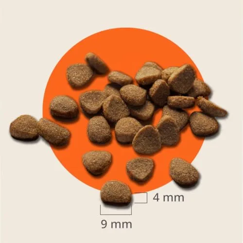 IAMS ▫️ Ração Seca para Gatos Senior com Frango Fresco, 10 kg 3