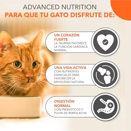 IAMS ▫️ Ração Seca para Gatos Senior com Frango Fresco, 10 kg 4