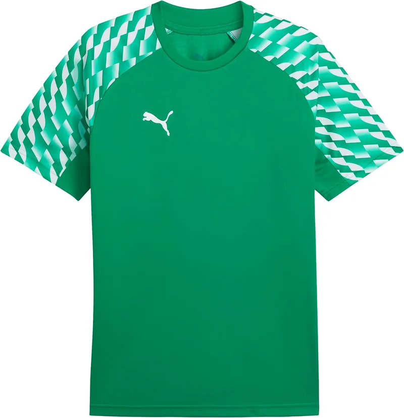 PUMA ▫️ Camisola Teamliga Jersey V2 para homem