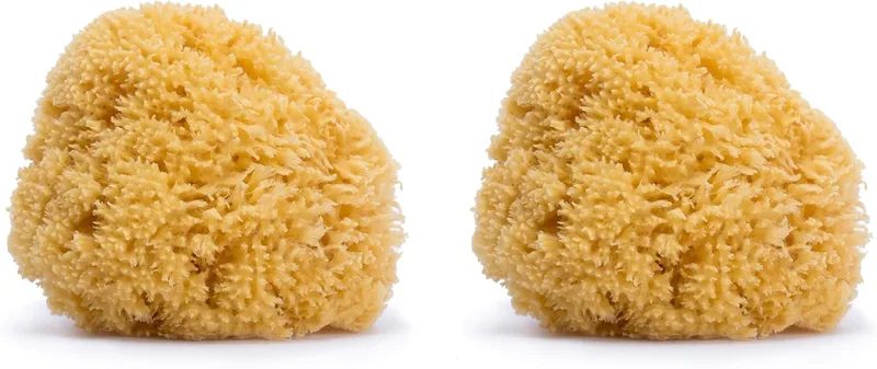 SUAVINEX ▫️ Esponja do mar natural para bebé. Tamanho grande. Esponja 100% natural para bebé (embalagem de 2)