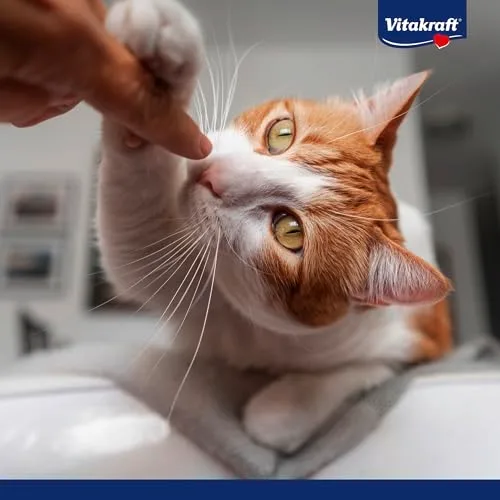 Vitakraft ▫️ Vita Hearts, Pele e pelo, petisco macio para gatos, para a pele e o pelo, com salmão (1 x 40 g) 5