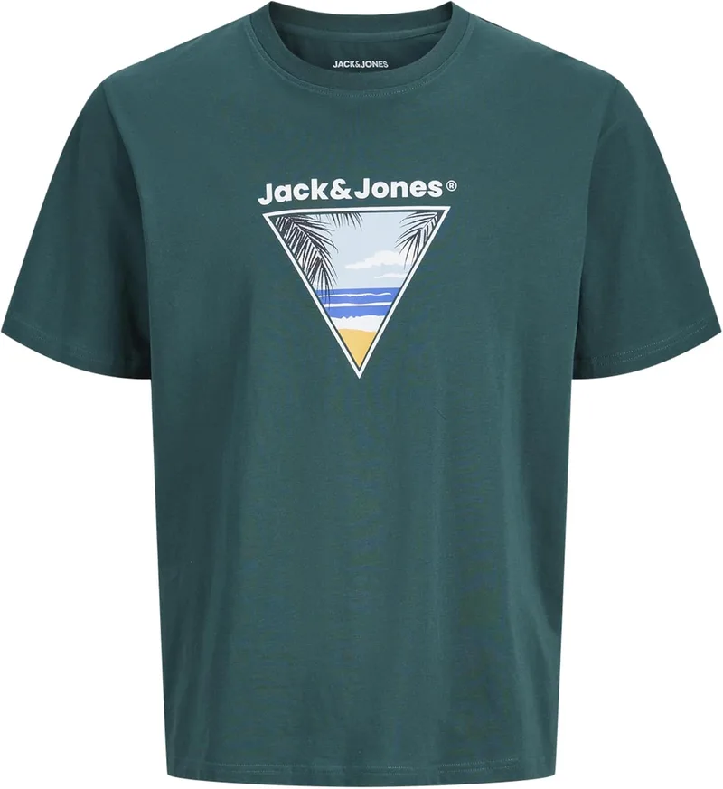 JACK & JONES ▫️ Camiseta Jjperry SS com gola redonda Camiseta Jjperry SS com gola redonda para homem
